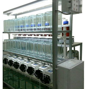 thmorgandl6000供應商 臺灣其它dl6000國產(chǎn)