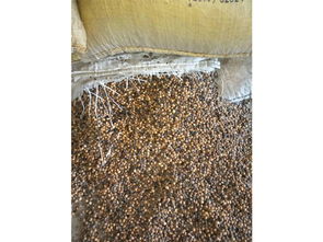 益生菌發(fā)酵大豆廠家,性?xún)r(jià)比高的受損大豆就在蔬香果語(yǔ)生物科技