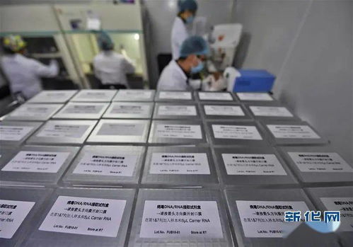 只有源頭創新，才能突破醫療器械領域“掐脖子”問題——專訪生物醫學工程專家樊瑜波